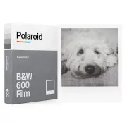 Consommable instantane POLAROID 1130004