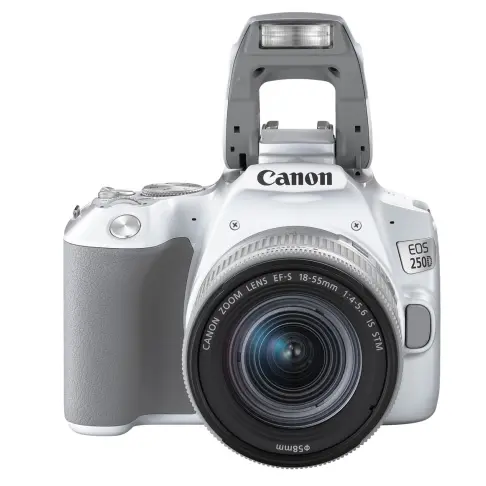 Appareil photo reflex numerique amateur CANON EOS 250 D BLANC 18-55 IS STM - 2