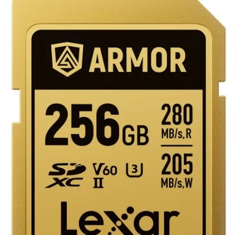 Carte mémoire LEXAR SDXC PRO GOLD ARMOR 256 V 60 - 1