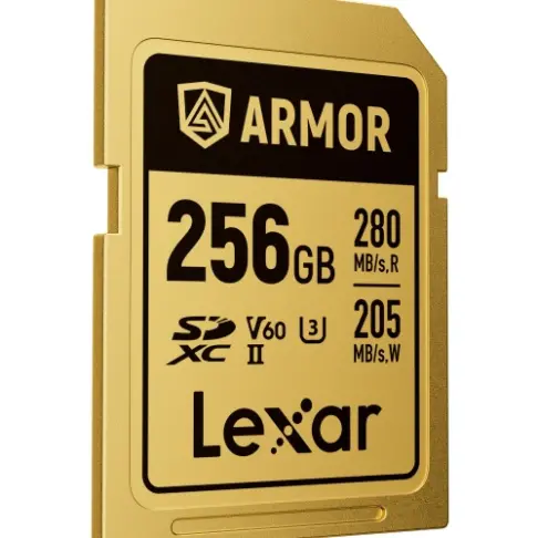 Carte mémoire LEXAR SDXC PRO GOLD ARMOR 256 V 60 - 2