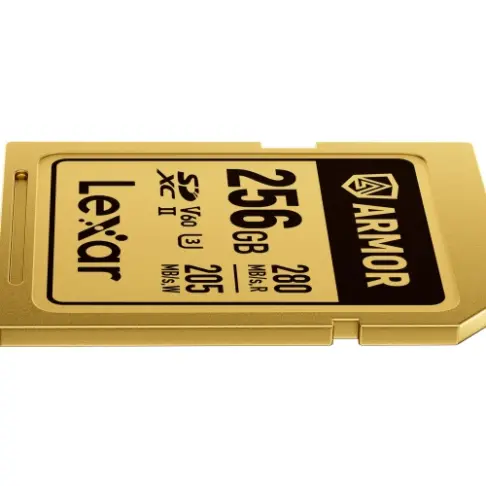 Carte mémoire LEXAR SDXC PRO GOLD ARMOR 256 V 60 - 3