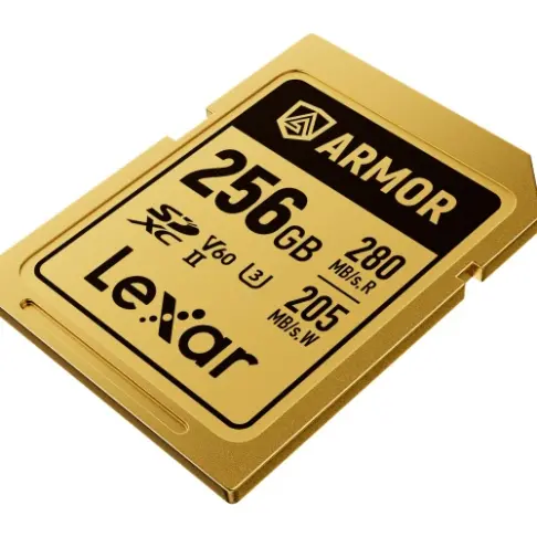 Carte mémoire LEXAR SDXC PRO GOLD ARMOR 256 V 60 - 5
