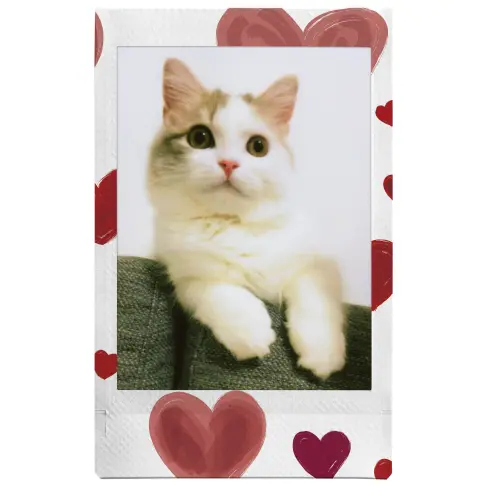 Film pour appareil instantané FUJIFILM INSTAX 16799926 - 5