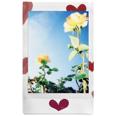 Film pour appareil instantané FUJIFILM INSTAX 16799926 - 11