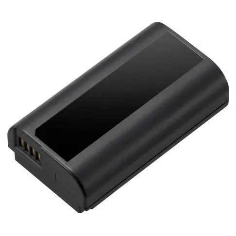 Batterie photo PANASONIC DMWBLJ 31 E - 1